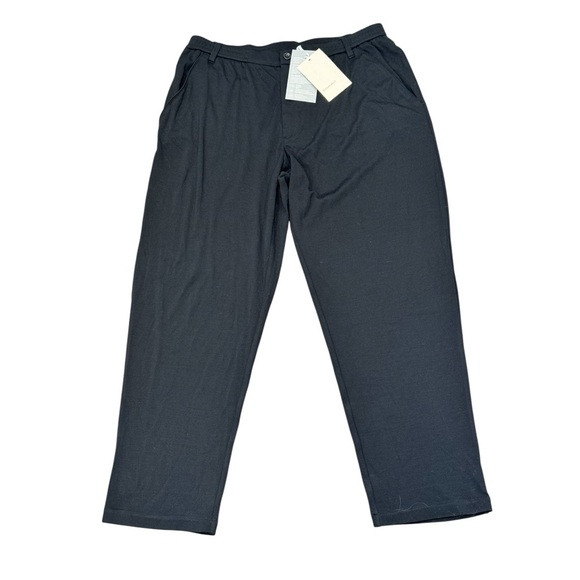 Icebreaker Pants Mens Size XL ICL Interlock 100% Wool All Over Stretch Black